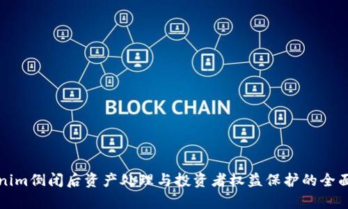 Tokenim倒闭后资产处理与投资者权益保护的全面解析
