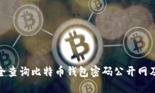 如何安全查询比特币钱包密码公开网及其影响