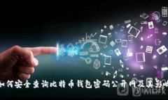 如何安全查询比特币钱包密码公开网及其影响