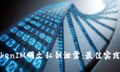 如何防止TokenIM明文私钥泄露：最佳实践和应对策略