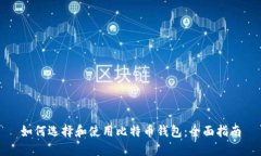 如何选择和使用比特币钱包：全面指南