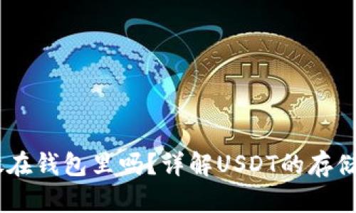 USDT可以存放在钱包里吗？详解USDT的存储方式与安全性