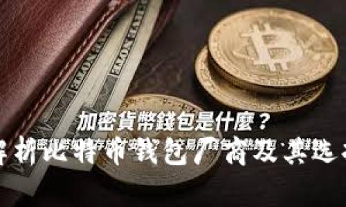 全面解析比特币钱包厂商及其选择指南