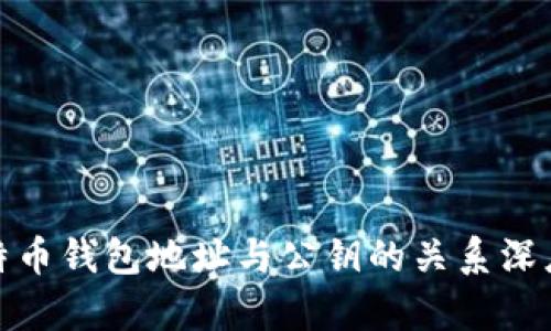 : 比特币钱包地址与公钥的关系深度解析