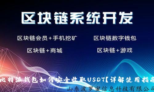 比特派钱包如何安全收取USDT？详解使用指南