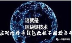 如何应对比特币钱包数据不断增长的问题