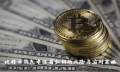 比特币钱包中没有私钥的风险与应对策略