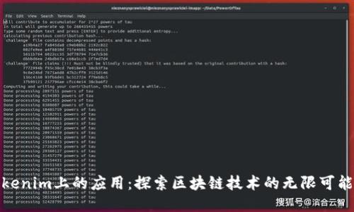 Tokenim上的应用：探索区块链技术的无限可能性