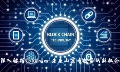 深入解析Tokenim：未来山寨币投资的新机会