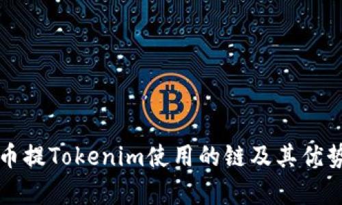 比特币提Tokenim使用的链及其优势解析