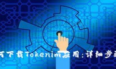 苹果手机如何下载Tokenim应用：详细步骤与使用指