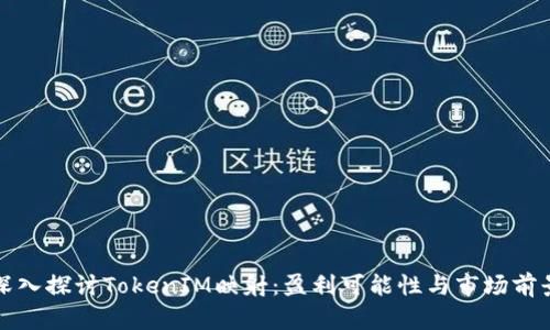 深入探讨TokenIM映射：盈利可能性与市场前景