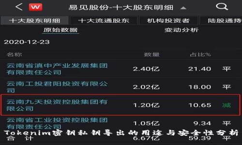 Tokenim密钥私钥导出的用途与安全性分析