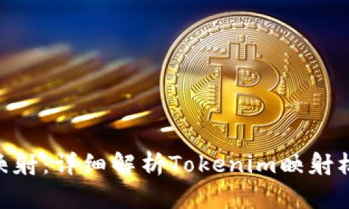 Tokenim如何映射：详细解析Tokenim映射机制与应用场景