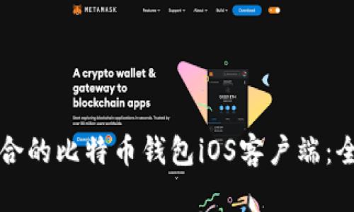 如何选择最适合的比特币钱包iOS客户端：全面解析与推荐