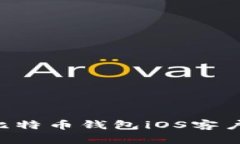 如何选择最适合的比特币钱包iOS客户端：全面解