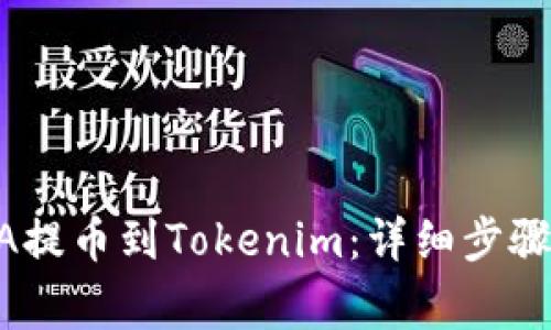 如何将RACA提币到Tokenim：详细步骤与注意事项