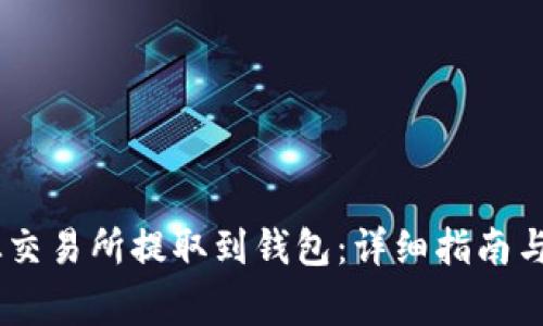如何将USDT从交易所提取到钱包：详细指南与常见问题解答