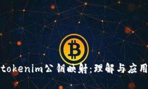 tokenim公钥映射：理解与应用