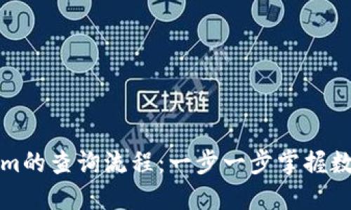 解密Tokenim的查询流程：一步一步掌握数字资产管理