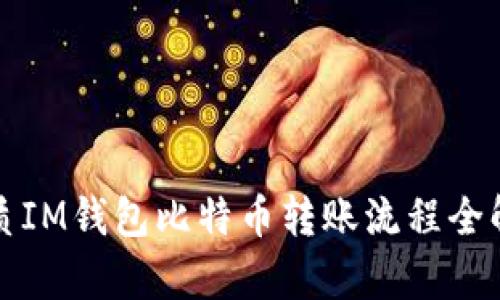 优质IM钱包比特币转账流程全解析