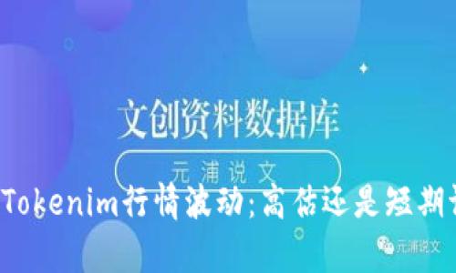 分析Tokenim行情波动：高估还是短期调整？