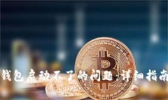 如何解决狗狗币钱包启动不了的问题：详细指南