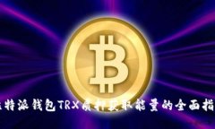 比特派钱包TRX质押获取能量的全面指南