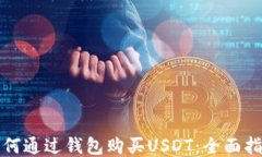 如何通过钱包购买USDT：全面指南