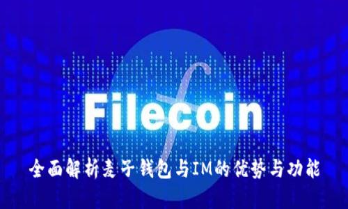 全面解析麦子钱包与IM的优势与功能