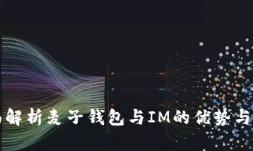 全面解析麦子钱包与IM的优势与功能