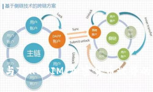 GTTOKEN与TOKENIM：加密货币世界的两大新星