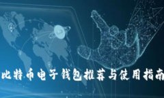 比特币电子钱包推荐与使用指南