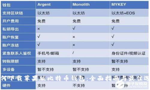 如何下载苹果版比特币钱包：全面指南与最佳选择