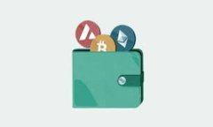 全面解析Token钱包二次开发：实现自定义功能与应