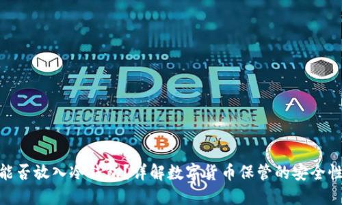 : 屎币能否放入冷钱包？详解数字货币保管的安全性与策略