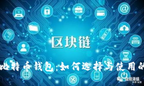 萨尔瓦多比特币钱包：如何选择与使用的终极指南