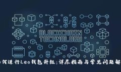 如何进行Leo钱包升级：详尽指南与常见问题解析