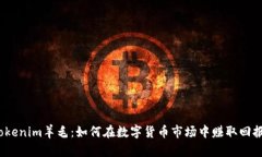 Tokenim羊毛：如何在数字货币市场中赚取回报？