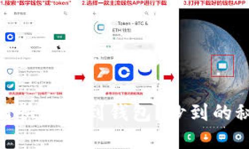 USDT如何快速提到钱包？秒到的秘密揭秘！