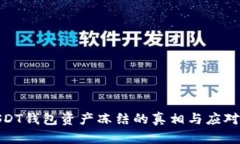 : USDT钱包资产冻结的真相与应对策略