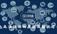 以太坊钱包无法注册的原因及解决方案全面解析