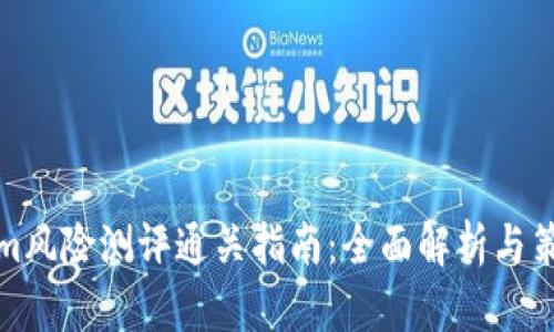 Tokenim风险测评通关指南：全面解析与策略分享