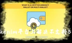 如何在Tokenim平台上解决不支持BNB的问题