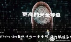 如何理解Tokenim转账中的一串号码：详细解析及相