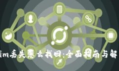 Tokenim丢失怎么找回：全面指南与解决方案