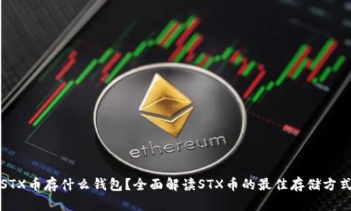STX币存什么钱包？全面解读STX币的最佳存储方式