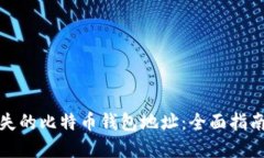 如何找回丢失的比特币钱包地址：全面指南与解
