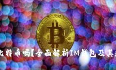 IM钱包支持比特币吗？全面解析IM钱包及其数字货