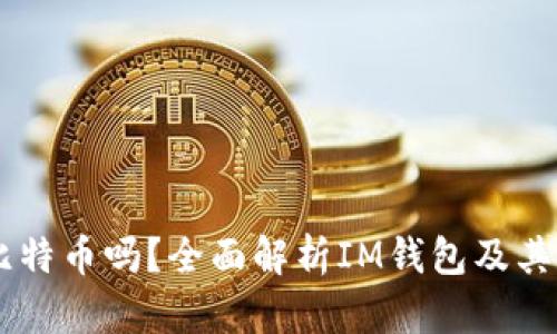 IM钱包支持比特币吗？全面解析IM钱包及其数字货币功能